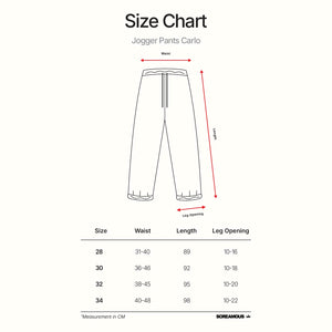 Long Pants Jogger CARLO GREY