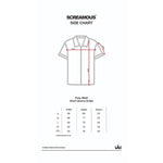 Load image into Gallery viewer, Polo Shirt Stripe NAZEO NAVY RED WHITE
