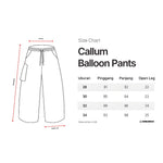 Load image into Gallery viewer, Balloon Fit Pants CALLUM
