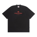 Load image into Gallery viewer, T-Shirt OVERSIZE 16s SEAGULL
