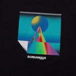 Load image into Gallery viewer, T-Shirt SPECTRUMS BLACK
